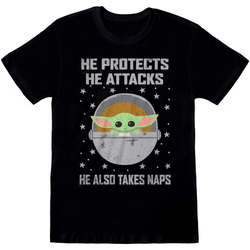 textil Camisetas manga larga Star Wars: The Mandalorian Protects And Attacks Negro