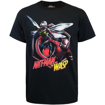 textil Hombre Camisetas manga larga Ant-Man  Negro
