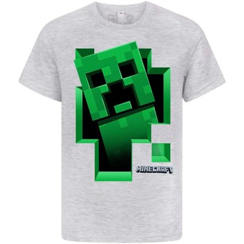 textil Niño Camisetas manga larga Minecraft  Gris