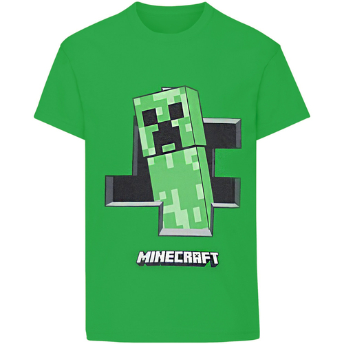 textil Niño Camisetas manga larga Minecraft  Verde