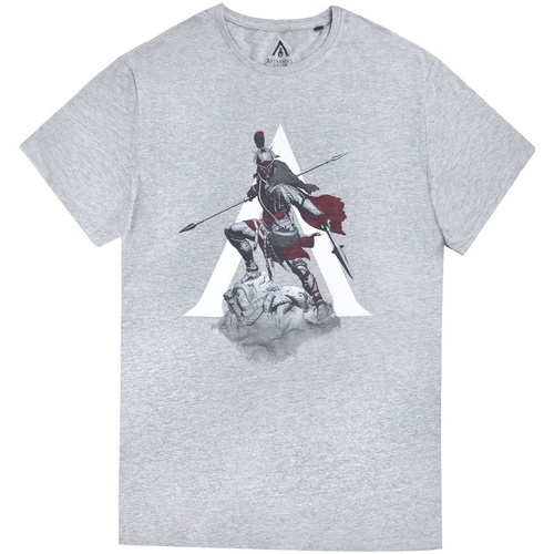 textil Hombre Camisetas manga larga Assassins Creed Odyssey NS5699 Gris