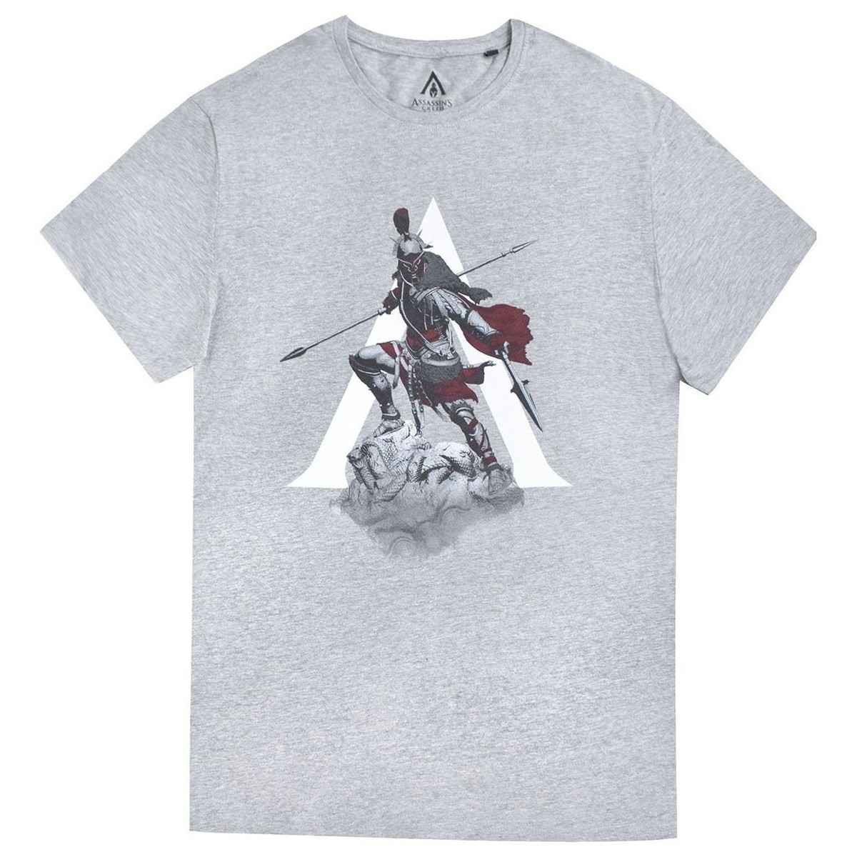 textil Hombre Camisetas manga larga Assassins Creed Odyssey NS5699 Gris