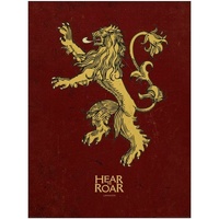 Casa Afiches / posters Game Of Thrones NS5961 Multicolor