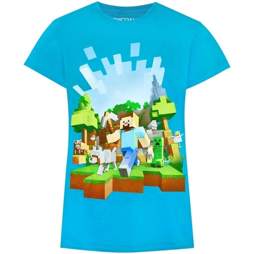 textil Niña Camisetas manga larga Minecraft Adventure Azul