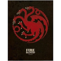 Casa Afiches / posters Game Of Thrones NS5975 Negro