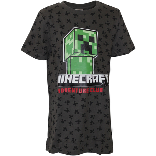 textil Niño Camisetas manga larga Minecraft NS6001 Gris