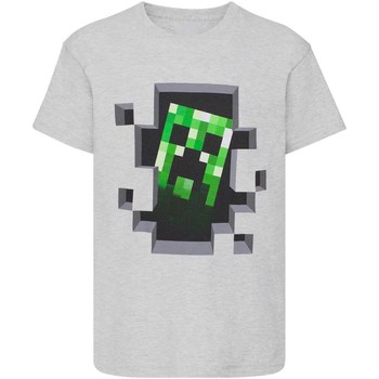 textil Niño Camisetas manga larga Minecraft  Gris