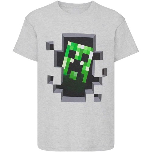 textil Niño Camisetas manga larga Minecraft NS6016 Gris
