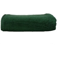 Casa Toalla y manopla de toalla A&r Towels RW6536 Verde