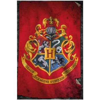 Casa Afiches / posters Harry Potter TA356 Rojo