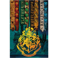 Casa Afiches / posters Harry Potter TA359 Multicolor