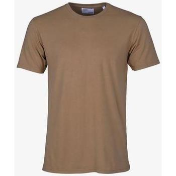textil Camisetas manga corta Colorful Standard T-shirt  Sahara Camel Marrón
