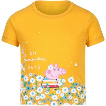 textil Niños Camisetas manga corta Regatta RG5945 Multicolor