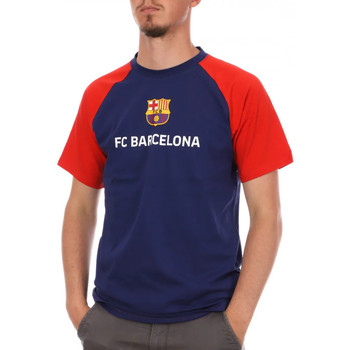 textil Hombre Camisetas manga corta Fc Barcelona  Azul
