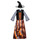 textil Niña Disfraces Fun Costumes COSTUME ENFANT DAZZLING WITCH Multicolor