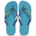 Zapatos Chanclas Havaianas BRASIL LOGO Azul