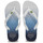 Zapatos Chanclas Havaianas BRASIL FRESH Azul / Blanco