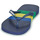 Zapatos Chanclas Havaianas BRASIL TECH Azul / Amarillo / Verde