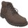 Zapatos Hombre Botas de caña baja Timberland Larchmont chukka Marrón
