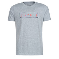 textil Hombre Camisetas manga corta Esprit BCI N cn aw ss Gris
