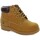 Zapatos Botas Lumberjack 25784-18 Multicolor