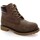 Zapatos Botas Lumberjack 25788-18 Marrón