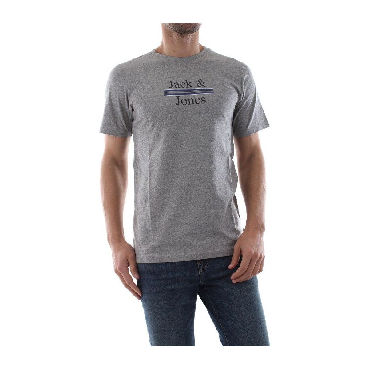 textil Hombre Tops y Camisetas Jack & Jones 12150263 ART MARWA-LIGHT GREY Gris