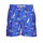 textil Hombre Bañadores Polo Ralph Lauren W221SC13 Azul / Multicolor