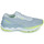 Zapatos Mujer Running / trail Mizuno WAVE SKYRISE 3 Gris / Amarillo