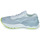 Zapatos Mujer Running / trail Mizuno WAVE SKYRISE 3 Gris / Amarillo