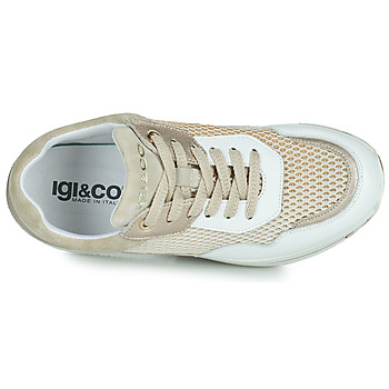 IgI&CO 1661900 Blanco / Oro