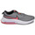 Zapatos Niños Multideporte Nike Nike Air Zoom Arcadia Gris / Rojo