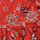 textil Niña Vestidos cortos Petit Bateau BLOOM Rojo