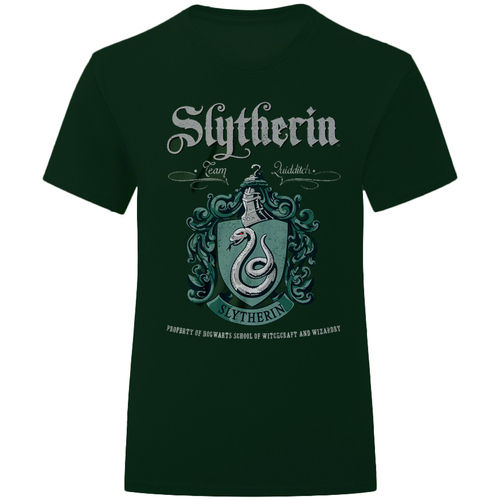 textil Camisetas manga larga Harry Potter HE242 Verde
