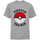 textil Niños Camisetas manga corta Pokemon HE330 Gris