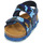 Zapatos Niño Sandalias Citrouille et Compagnie BELLI JOE Azul / Camuflaje