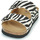 Zapatos Mujer Zuecos (Mules) Scholl JOSEPHINE Cebra