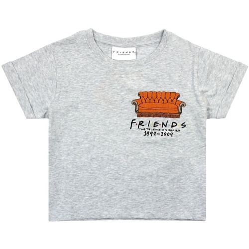 textil Niña Camisetas manga larga Friends Central Perk Gris