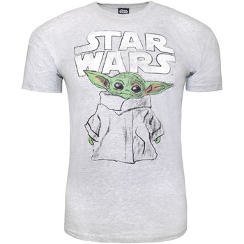 textil Camisetas manga larga Star Wars: The Mandalorian  Gris