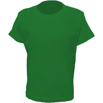 textil Niños Camisetas manga larga Casual Classics AB262 Verde