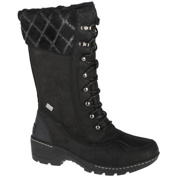 Zapatos Mujer Botas de nieve Sorel Whistler Tall Boot Negro