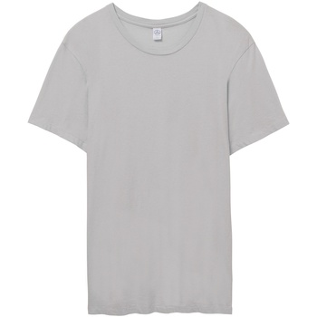 textil Hombre Camisetas manga corta Alternative Apparel AT015 Gris