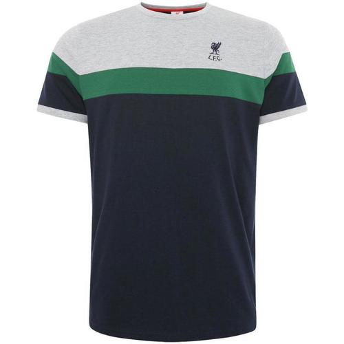 textil Hombre Camisetas manga larga Liverpool Fc TA7880 Verde