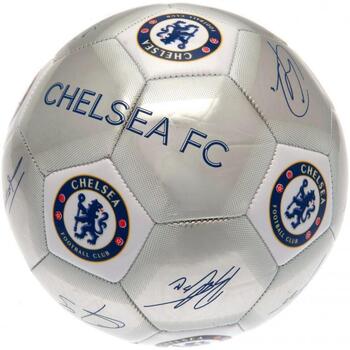 Accesorios Complemento para deporte Chelsea Fc Signature Multicolor