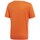 textil Niño Camisetas manga corta adidas Originals Entrada 18 Naranja