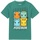 textil Niño Camisetas manga corta Pokemon NS6501 Verde