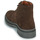 Zapatos Hombre Botas de caña baja Pellet JEAN Piel / Chocolate
