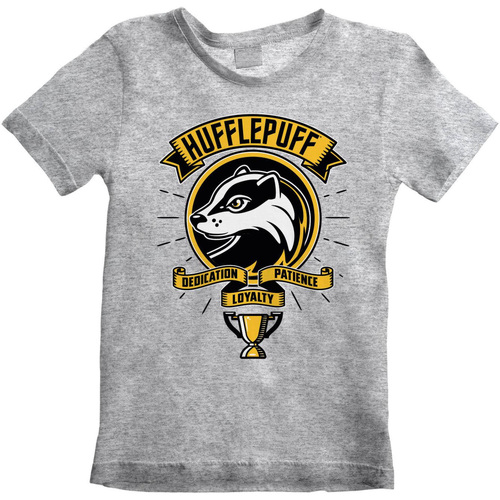textil Niños Tops y Camisetas Harry Potter Comic Style Gris
