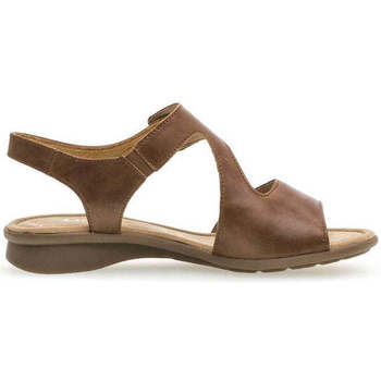 Zapatos Mujer Sandalias Gabor 46.063.54 Marrón
