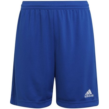 textil Niño Pantalones cortos adidas Originals Entrada 22 Azul